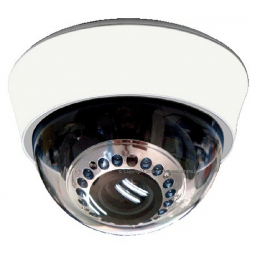 600TVL Sony CCD Vandal-Proof Dome Security Camera For Indoor/Outdoor Use